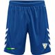 SV Medizin Bad Gottleuba Poly Short Junior