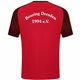 Boxring  Dresden Herren T-Shirt rot/schwarz