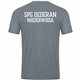 SpG Oederan-Niederwiesa Kinder T-Shirt steingrau