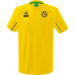 SG Gittersee Herren T-Shirt gelb/schwarz