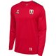 SG Motor Wilsdruff Handball Unisex LS Jersey rot