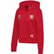 SG Motor Wilsdruff Handball Damen Hoodie