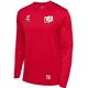 HSG Weißeritztal Unisex LS Jersey rot