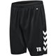 TSV Seifersdorf Volleyball Herren Short schwarz