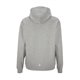 KVF SOE Herren Hoodie grau