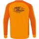 ATW Herren Sweatshirt orange