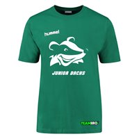 HSG Freiberg Juniordachs Shirt Unisex grün